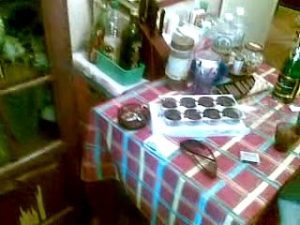 квартира спидовой адрес