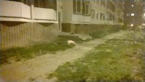 смерть жертвы пранка артемыча