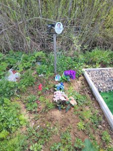 могила владимира фомина