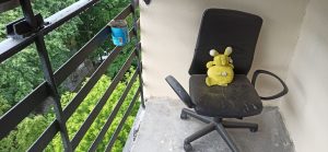 дом спидовой