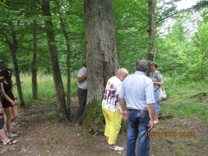 47-F6AhucDapLgflVemNlqDt1Bmq1rMSBQM5M7d7BEXiImLBiDAptbYlj6Z5IxDiVxZ4l29Eg8LInX-F