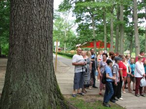 80-LafeZbYGHRTuNSuPDihhDoHPxMKIjsgx_cpFJjSu4comGDiKqg6tUXIMMFThdkuVdyeyUBzTSAVrm