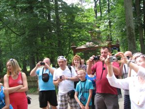 82-DixCNClfgVIL8jkJLE9_RsV3tICLACJzdH0MWuNC_AZ5mX48pktSndFZC3PrIu73gmFor37OuRGO7