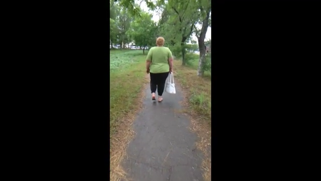 Боров в парке