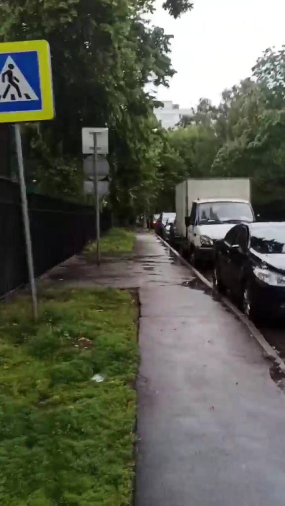 Дорога к Детскому Садику 1917 (2023)