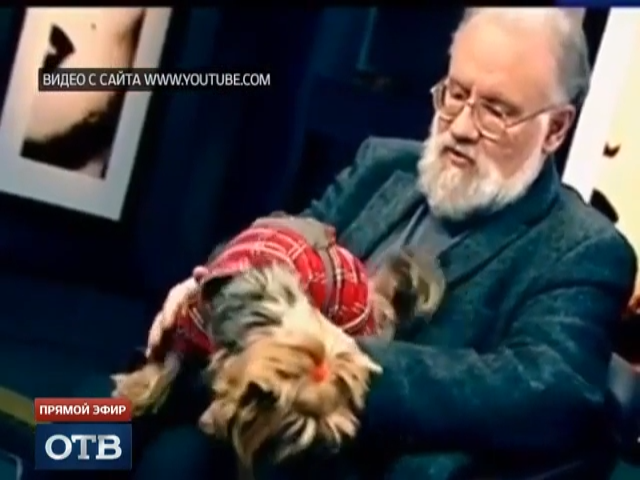 ОТВ: Шутники или хулиганы?