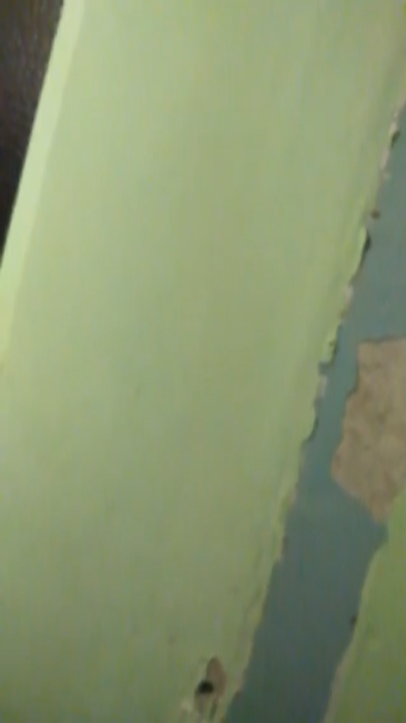 День Рождения Валентины Петровны (24.10.15)