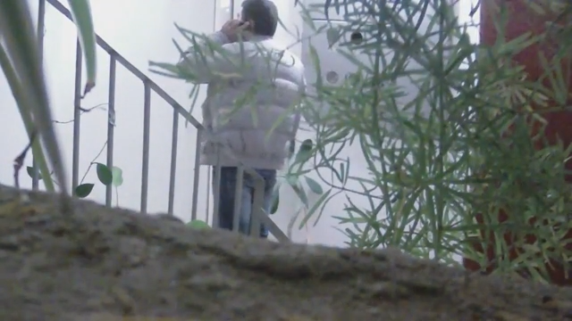 Курьерские парады у Артемыча (часть 1)