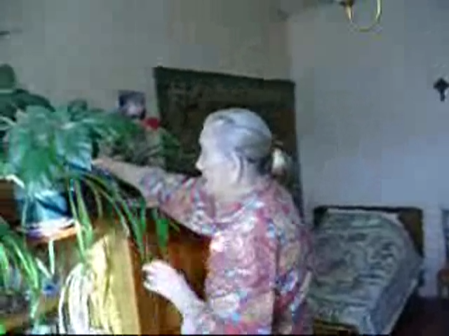 Пиротехник