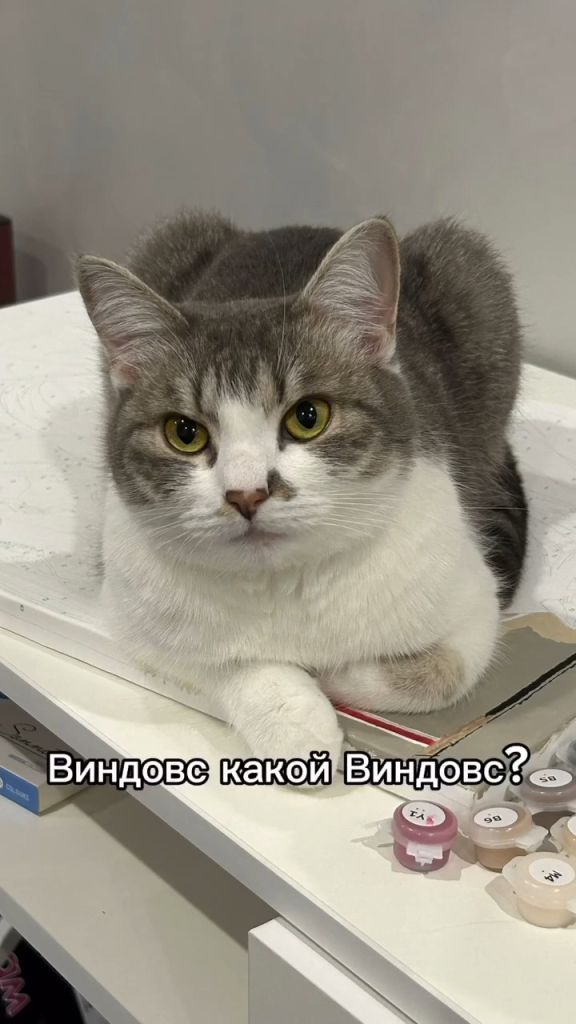 Креатив по мотивам пранка с Анусовой