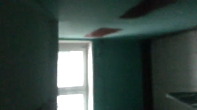 Поход к Валентине Петровне (10.01.13)