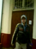 Гоген и поклонник