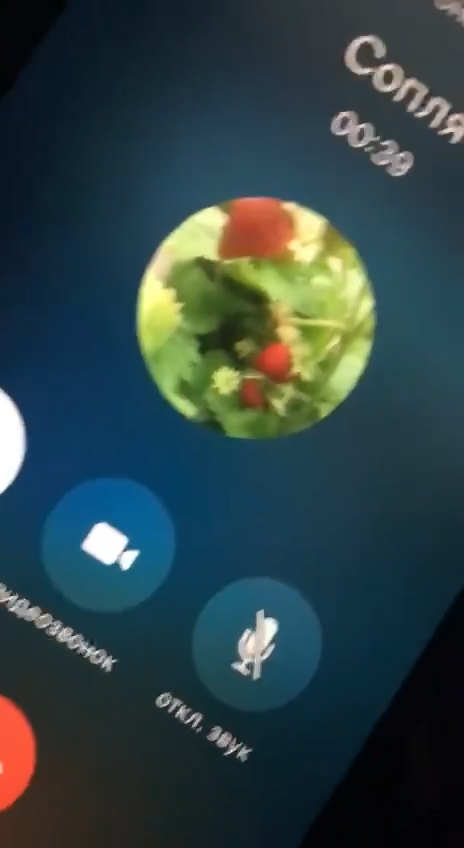 Раб «Харчок» 2